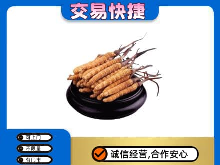 湖州礼品回收散虫草.jpg